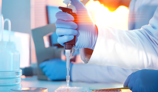 网络科技有限公司