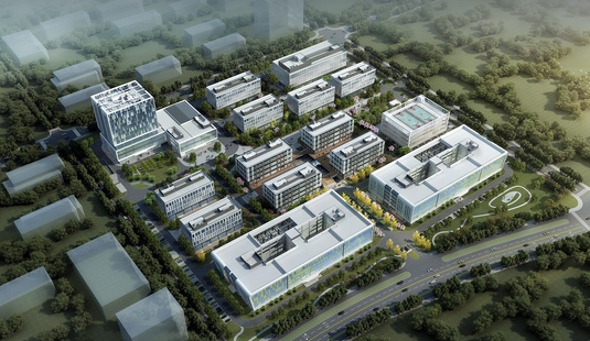 网络科技有限公司