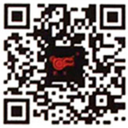 中国凯丰集团有限公司