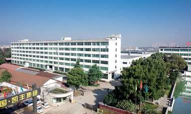 Company Overview
