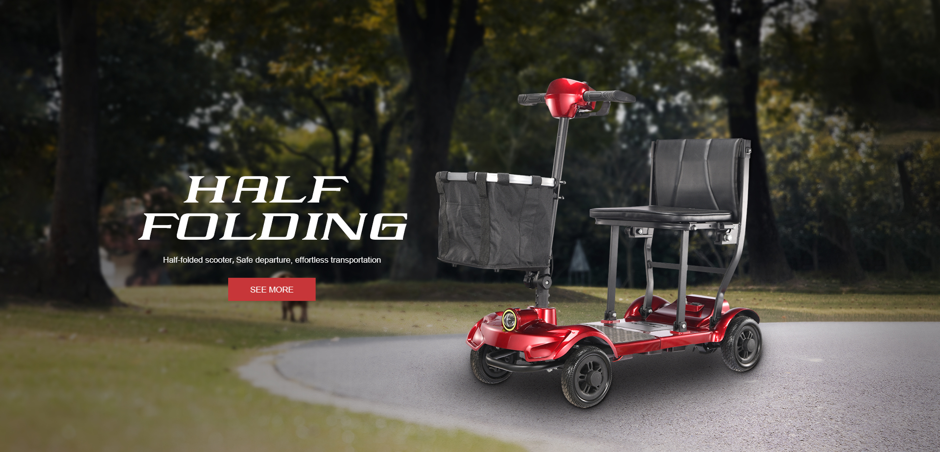 Folding Mobility Scooter