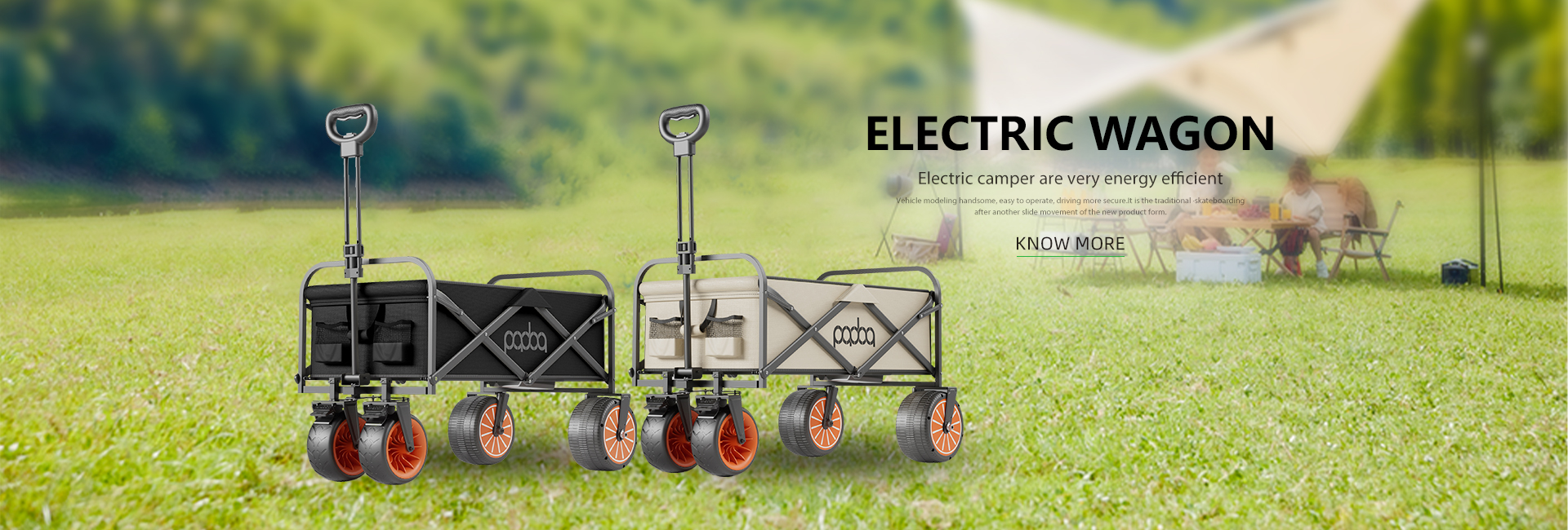 Electric Wagon
