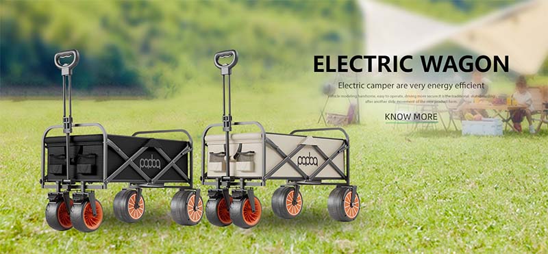 Electric Wagon