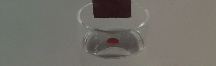 Hydrophobic and lipophilic
