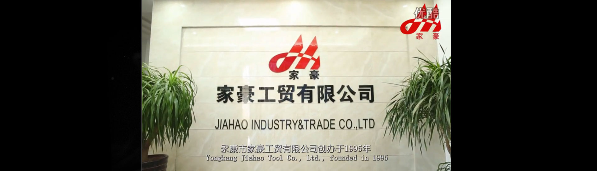 Company profile