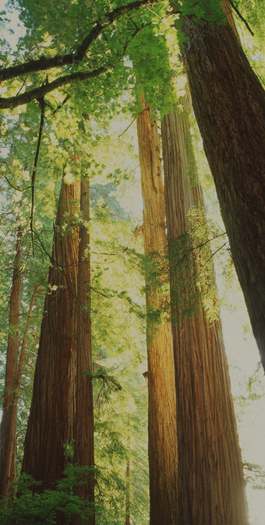 材料统一高标准—从源头抓品质